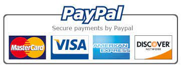 Paypal visa logo